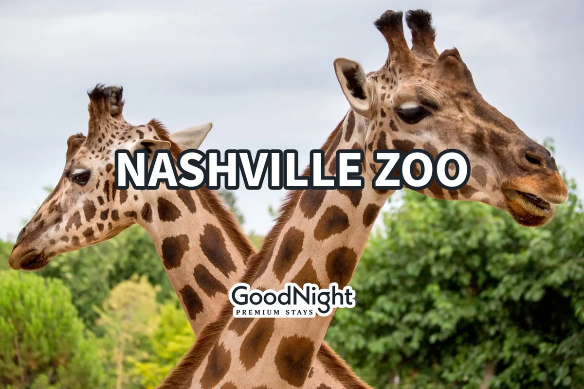 The exterior of a zoo area with giraffes roaming in lush greenery, surrounded by families and children enjoying animal watching and educational talks. The joyful mood highlights family outings and exploration in an urban context.