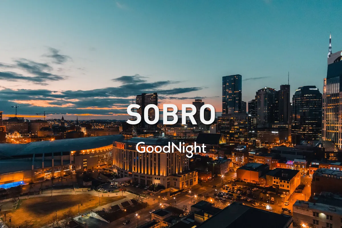 A panoramic twilight view of the Nashville city skyline, dotted with illuminated street lights and unique building architecture. The tranquil atmosphere suggests the perfect end to a vibrant day spent exploring, offering the city lights as a romantic backdrop.